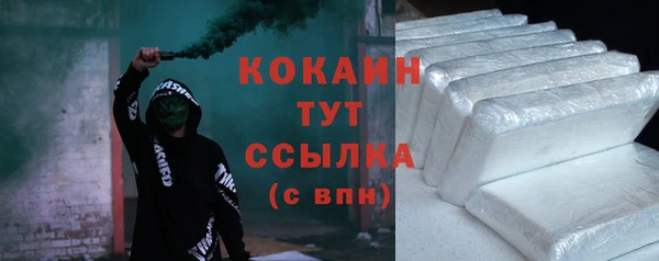 гашик Ессентукская