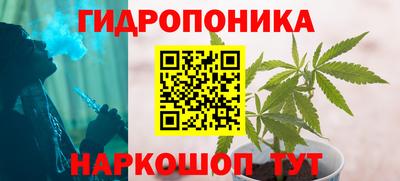 ECSTASY Гусев