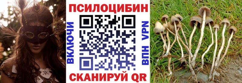 Псилоцибиновые грибы Magic Shrooms  Армавир 