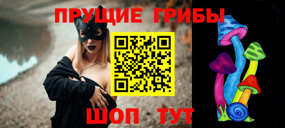 Псилоцибиновые грибы Psilocybe Армавир